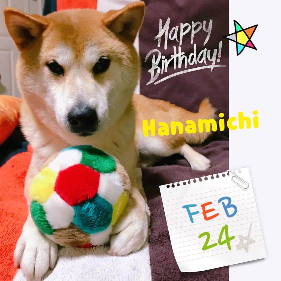 Hanamichi ＆ ℕㆁℜ〡ｋㆁ♡さんのインスタグラム写真 - (Hanamichi ＆ ℕㆁℜ〡ｋㆁ♡Instagram)「・ ・ 10年前の今日 大雪の午後でした ・ はなみちくん誕生❄︎ ・ まだ10歳 ここからもずっとずっと そばにいてね ・ 愛して愛してやまない 大切な大切な ・ 私の宝物へ ・ ・」2月24日 20時19分 - nyoriri