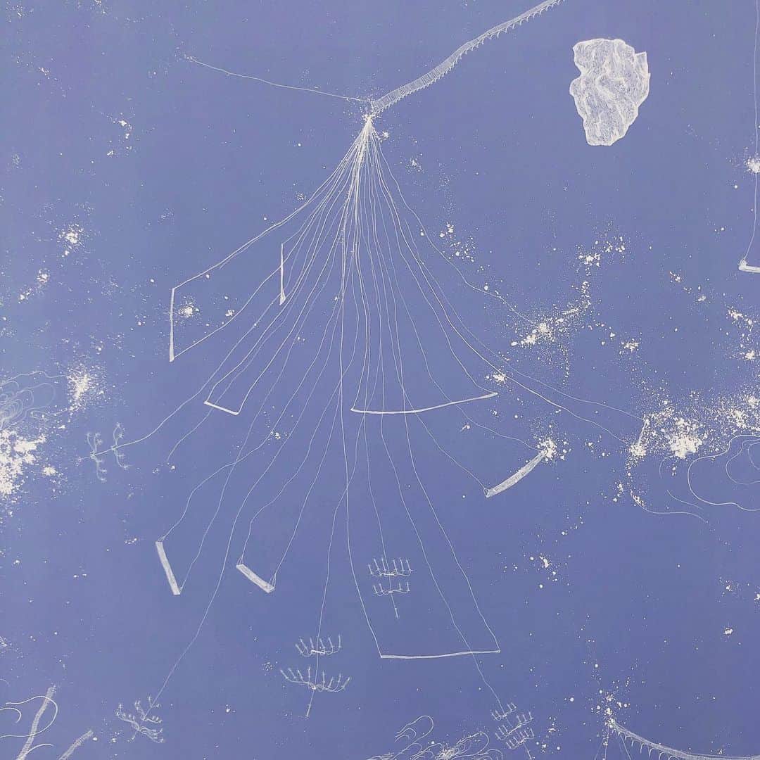 のインスタグラム：「“ Cosmic Garden “ par Sandra Cinto.」