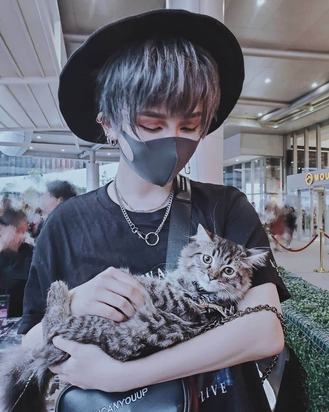 ひかりんのインスタグラム：「Yes . @otakufestph was Wholesome 💕🐈🐇🐕 #wholesome #blessed #hapiness #iminheaven」