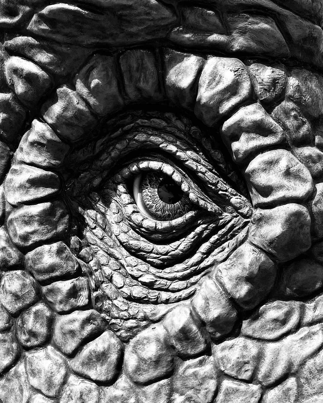 Jamioのインスタグラム：「#👁 . #ShotoniPhone iPhoneOnly .」
