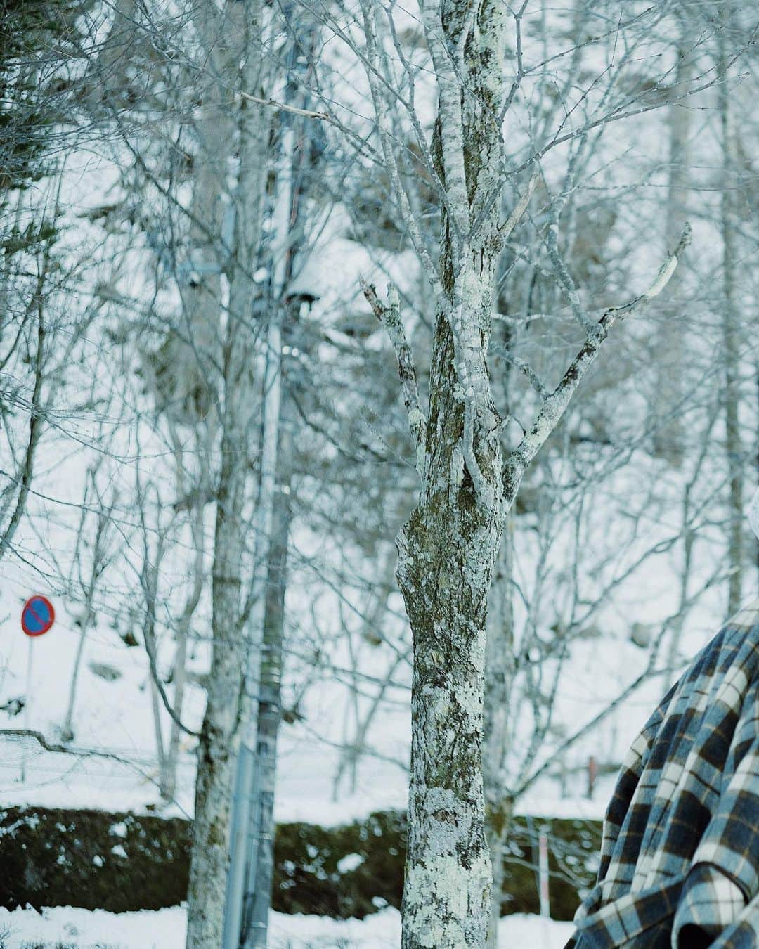 haru wagnusさんのインスタグラム写真 - (haru wagnusInstagram)「❄︎ ❄︎ ❄︎ ❄︎ ❄︎ ㅤㅤㅤㅤㅤㅤㅤㅤㅤㅤㅤㅤㅤ もちこう、入籍おめでとう。 笑顔多い日々になりますように。 幸せになりなね☺︎ ㅤㅤㅤㅤㅤㅤㅤㅤㅤㅤㅤㅤㅤ ㅤㅤㅤㅤㅤㅤㅤㅤㅤㅤㅤㅤㅤ #独身最後の撮影も雪で頭が凍ったのでした☃️」2月24日 20時52分 - wagnus