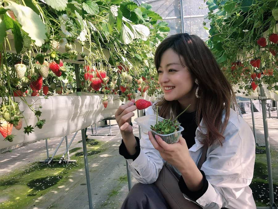 小林涼子さんのインスタグラム写真 - (小林涼子Instagram)「. 食べたいものを食べ 美味しく感じられる 当たり前だと思っていた毎日は かけがえのないものだと 改めて感じる今日この頃。 健康でいようね。 手洗い、うがい！ 🥰 #いちご狩り #いちご狩り🍓 #いちご狩りデート #春 #連休 #strawberry #strawberryhunting #japan #spring #아빠 #정말 #오래오래살아줘」2月24日 20時53分 - ryoko_kobayashi_ryoko