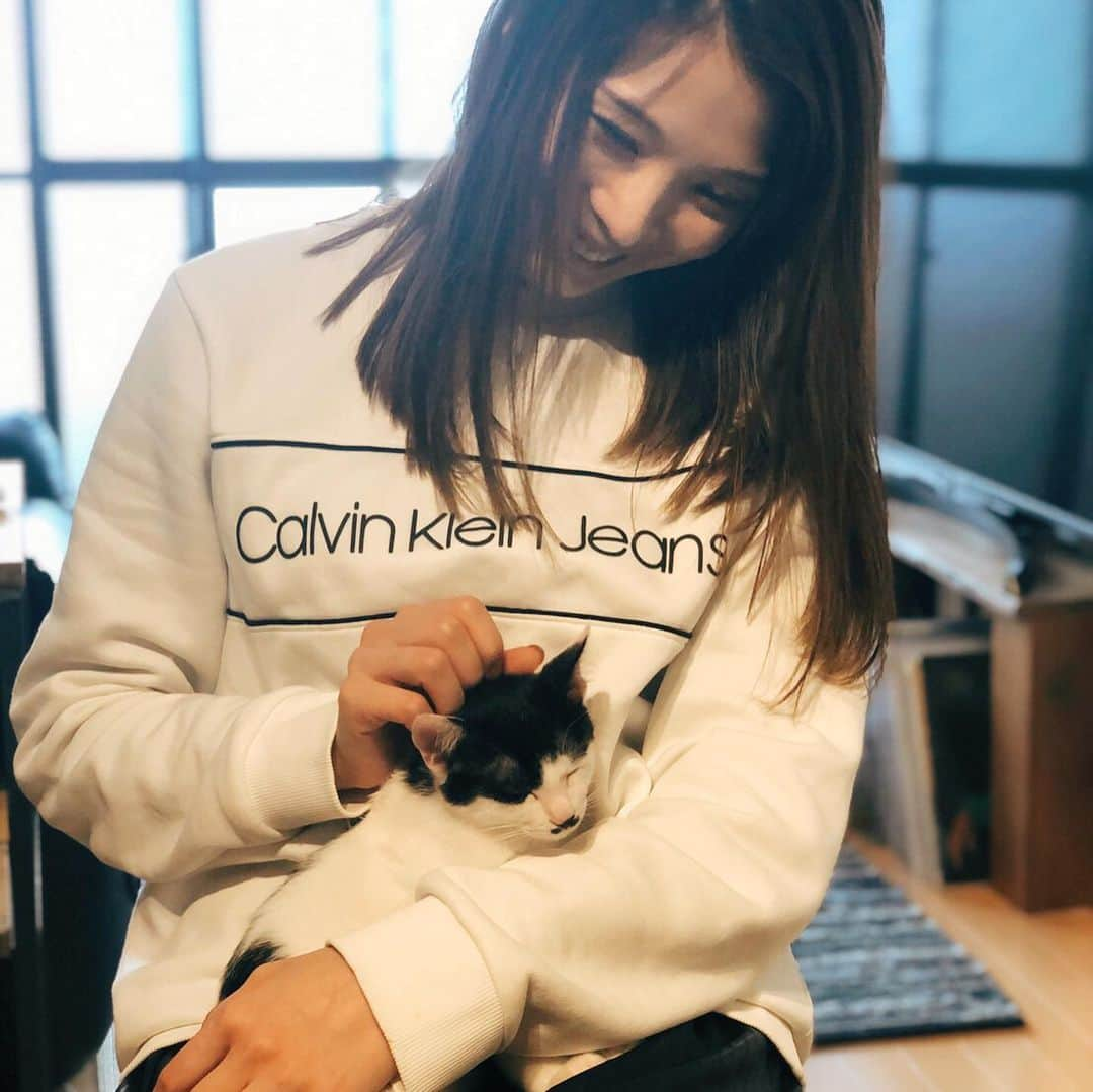 真瀬はるかさんのインスタグラム写真 - (真瀬はるかInstagram)「【キャッツとCATS】 . . 癒し癒され癒し合い…🐈💕 . . #猫 #CATS #ジェリクルソングを一緒に踊りました #真瀬の声がっしゃがしゃ笑笑笑 #明日から稽古始まるのに #大丈夫でしょうか笑 #しかも明日は稽古の前に #ボイトレも行こうとしているのに #大丈夫なんでしょうか笑 #とりあえず猫に癒されたからいいや #安心してくれたみたいで #ずっと膝の上で寝てたのたまらん #名前は #寅さんと桜ちゃん #紳士的なおヒゲが寅さん #麗しい瞳が桜ちゃん #猫飼いたくなるねぇ #我慢がまん #真瀬はるか」2月24日 21時07分 - harukamanase_official