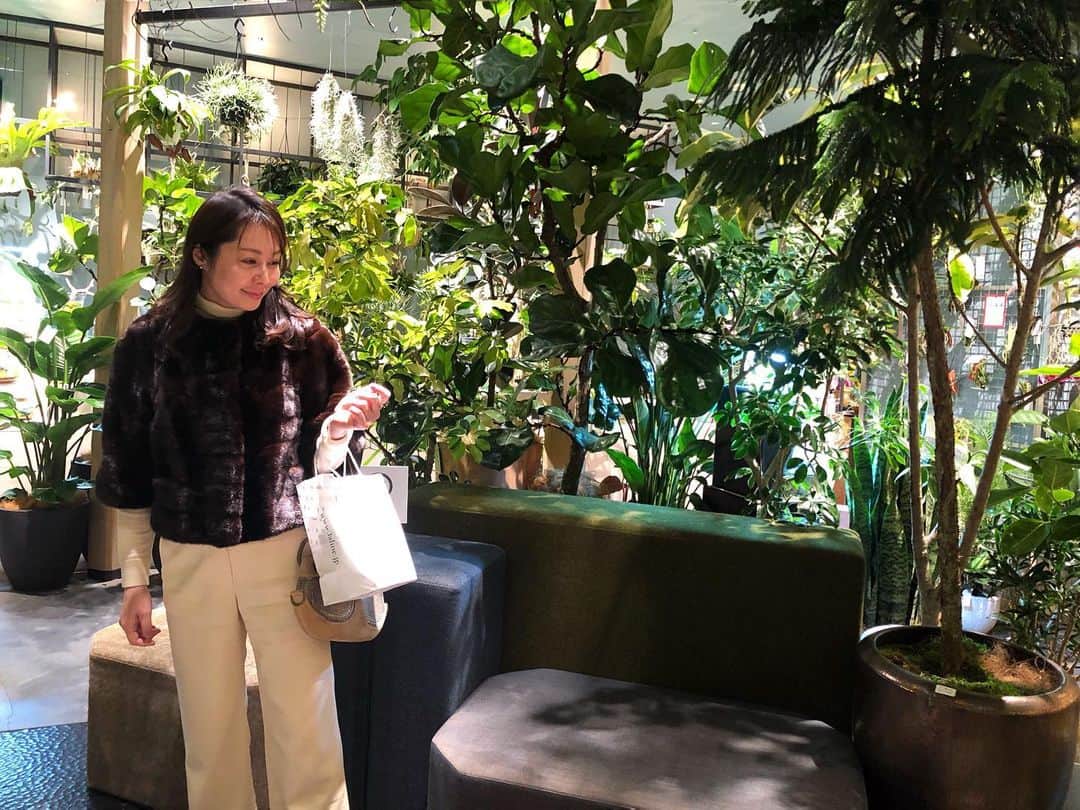 藤井美加子のインスタグラム