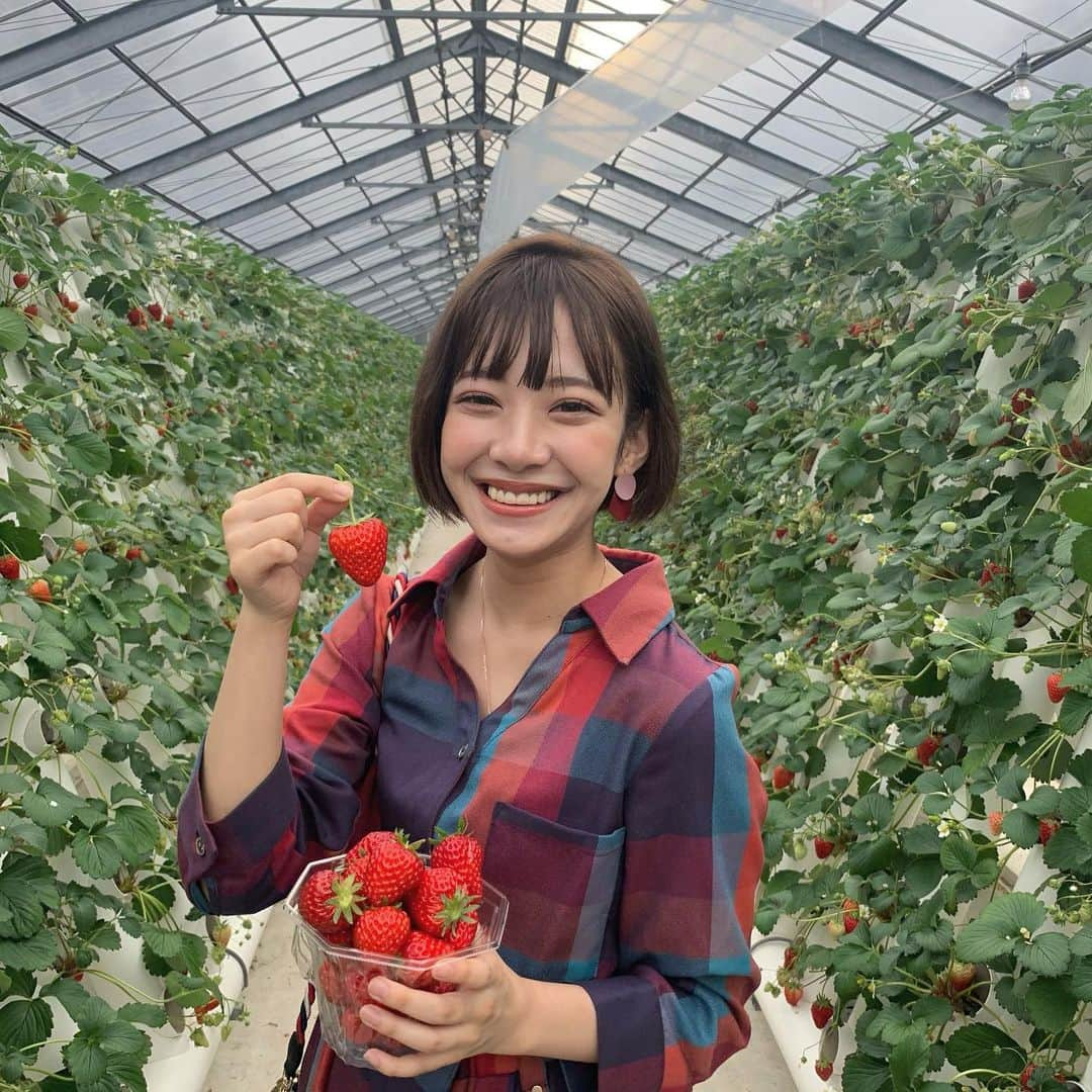 谷岡美沙紀さんのインスタグラム写真 - (谷岡美沙紀Instagram)「おはよ☀️﻿ いちごっっっ﻿ この時期はずっっとイチゴが大好き﻿ 常に冷蔵庫に置きたいくらい﻿ 育てたいくらい﻿ それくらい好き﻿ ﻿ ﻿ ﻿ ﻿ ﻿ ﻿ ﻿ #followｍe #follow #likeforlikes #like4likes #f4f #いいね返し #フォロー #いいねした人全員フォローする #ボブ #韓国メイク #フォロバ#me#girl#makeup#ビジョビ#モデル#l4l#撮影﻿ #Eeeeeats」2月25日 7時23分 - misakitanioka_official