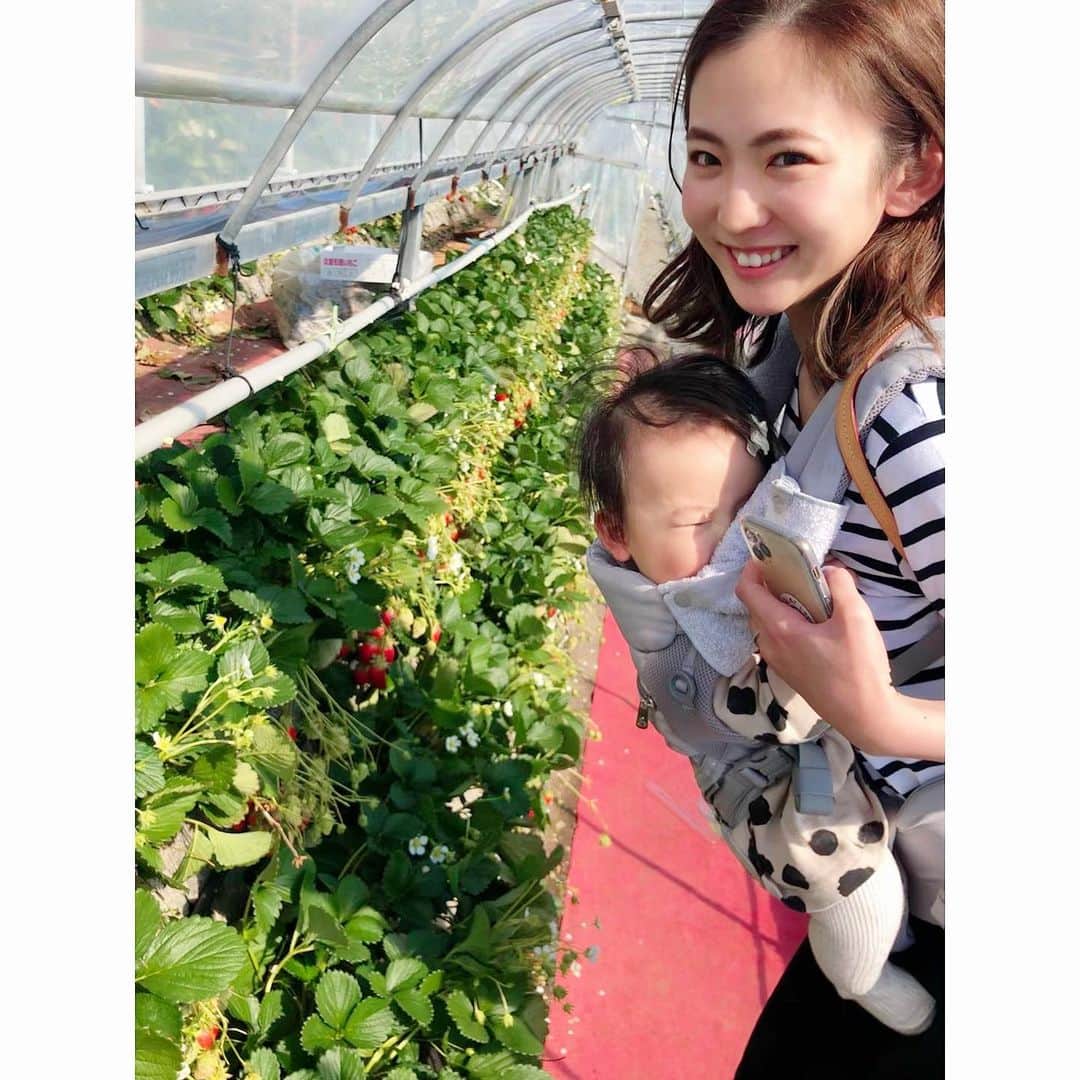 姫野れみのグルメインスタ