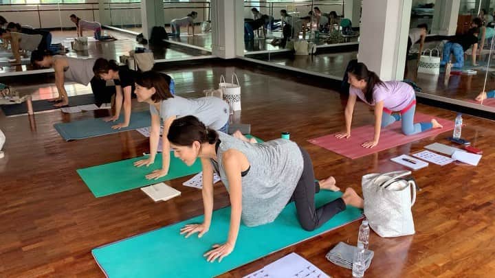 のインスタグラム：「バンコクライオン🦁 @international_yoga_center」