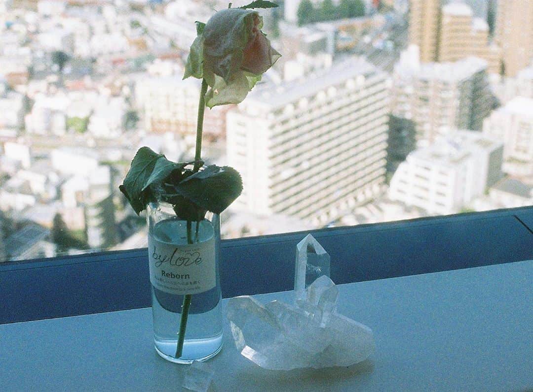 美月リカのインスタグラム：「I open the door to a new life🥀💎」