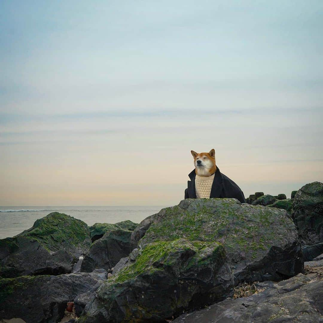 Menswear Dogさんのインスタグラム写真 - (Menswear DogInstagram)「The Old Dog and the Sea 🌊  Greek Fisherman's Hat: @jjhatcenternyc  Merino Wool Aran Sweater: vintage Wool blend pea coat: @burberry」2月25日 1時58分 - mensweardog