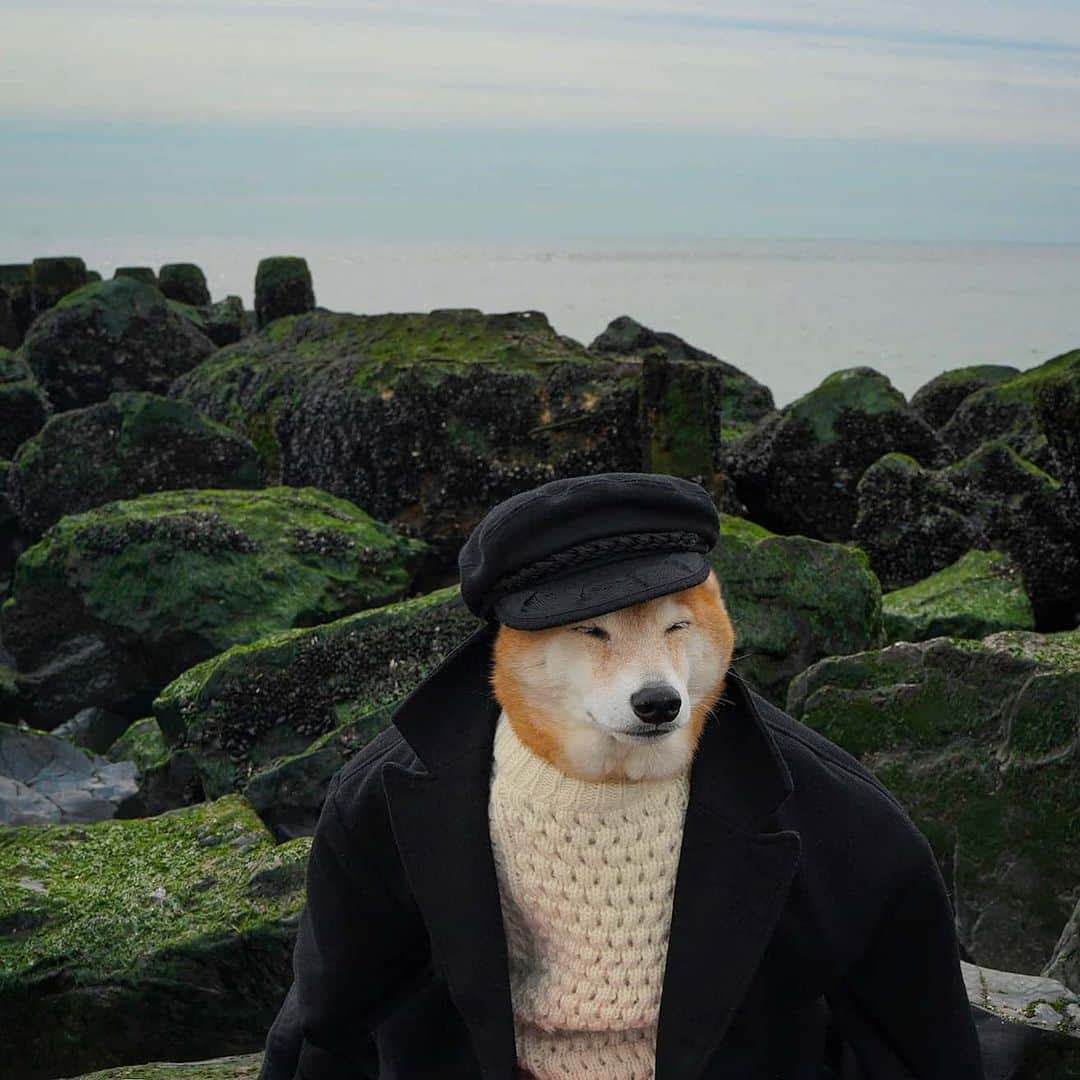 Menswear Dogのインスタグラム：「The Old Dog and the Sea 🌊  Greek Fisherman's Hat: @jjhatcenternyc  Merino Wool Aran Sweater: vintage Wool blend pea coat: @burberry」