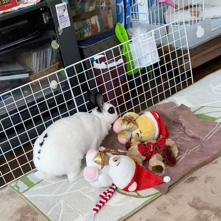 水木一郎のインスタグラム