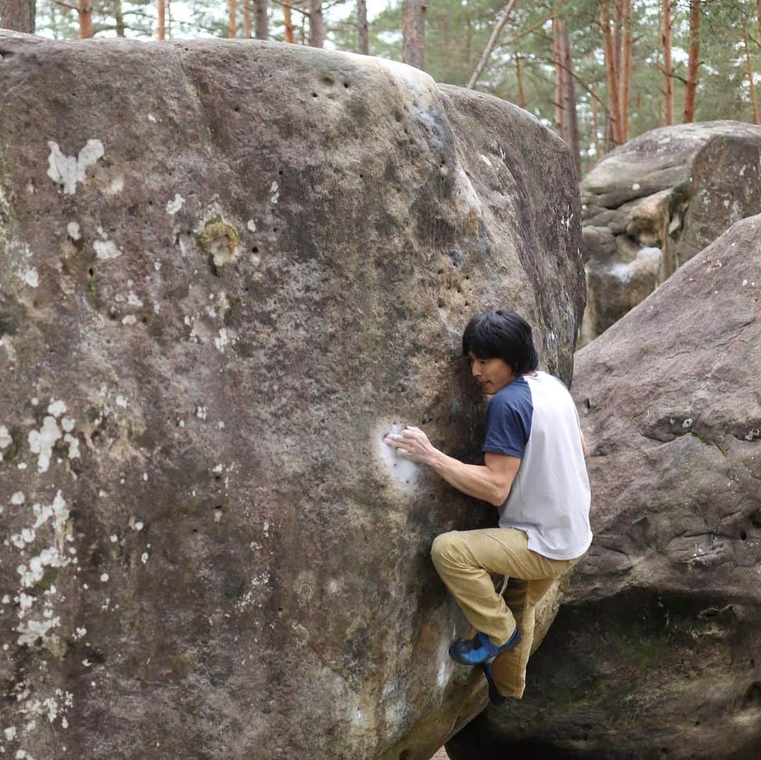 濱田健介のインスタグラム：「Fontainebleau day13(Last day). I went to Petit Bois today. I tried Big dragon 8A+, but I couldn’t it.. but so close.. My body was so tired and skin was nothing... I moved to Roche aux Sabots in the evening . I climed Sale gosse 7C in the dusk. This is last climbing in this trip. I will go back to Japan tomorrow. Photo1 and video are Sale gosse 7C. Photo2 is Big dragon 8A+. ブロー13日目。ついに最終日。。 今日はPetit Boisというエリアへ。アプローチほぼ無しやし、えりも来れそうなので。 Big dragon8A+をトライしたけど、登れず。結構惜しい感じやったんやけどなー。 体も重いし、指皮も出血するし、限界ですね。。なんだかんだ6日連続で登ってるし。晴れてると登りたくなっちゃうし。思いきって昨日レストすれば良かったのかも？まあ結果論やけど。 夕方、Roche aux Sabotsに移動して、　Sale gosse 7C を登って終了。夕暮れ前で暗かったけど、何とか登れて良かった。出し尽くしたわ。 明日は帰国なので、家に着くまでいろいろと気をつけて帰りましょう。 写真①と動画はSale gosse 7C。 写真②はBig dragon 8A+。 @rockmasterhq  @unparallelup  @organicclimbing  @nogradjustfeeling  @camp1889」