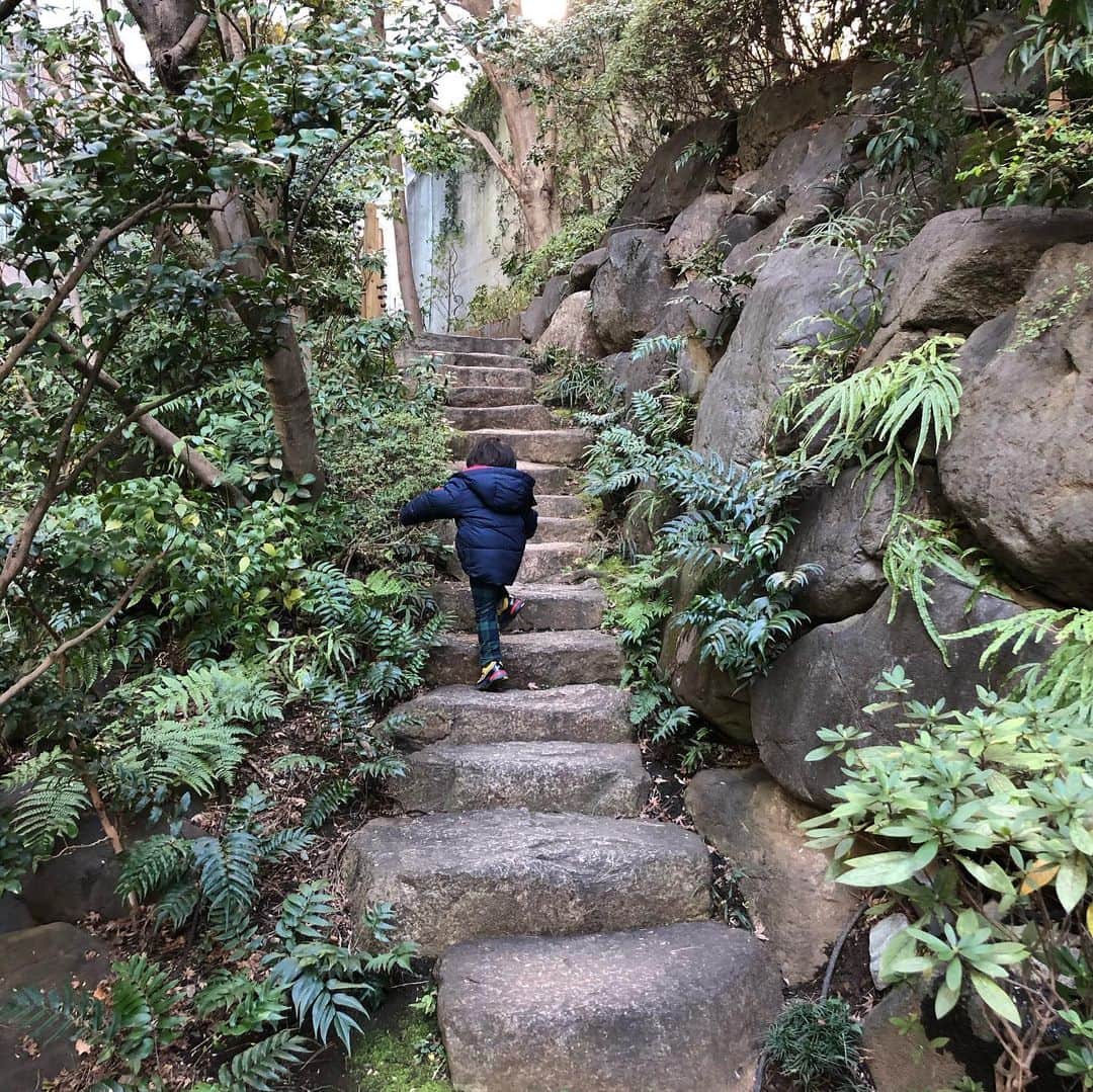 中岡由佳さんのインスタグラム写真 - (中岡由佳Instagram)「息子と1時間お散歩へ。カメラを向けるとポーズをとるようになった。ひとりで滝の周りをぐるぐる歩き、最後は大きな石を登りロッククライミング！？ちょっと目を離すと高いところへ登るので、目が離せない。 #2y9m」2月1日 15時11分 - yuka_nakaoka