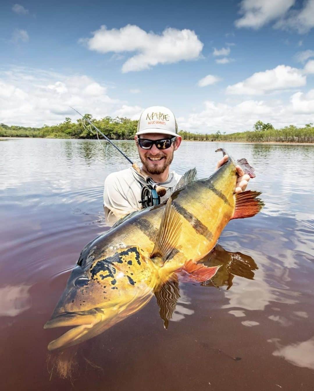 Costa Sunglassesのインスタグラム：「Jungle giant. 📷: @theflyfishingnation @riomarieflyfish #SeeWhatsOutThere #BornOnTheWater」