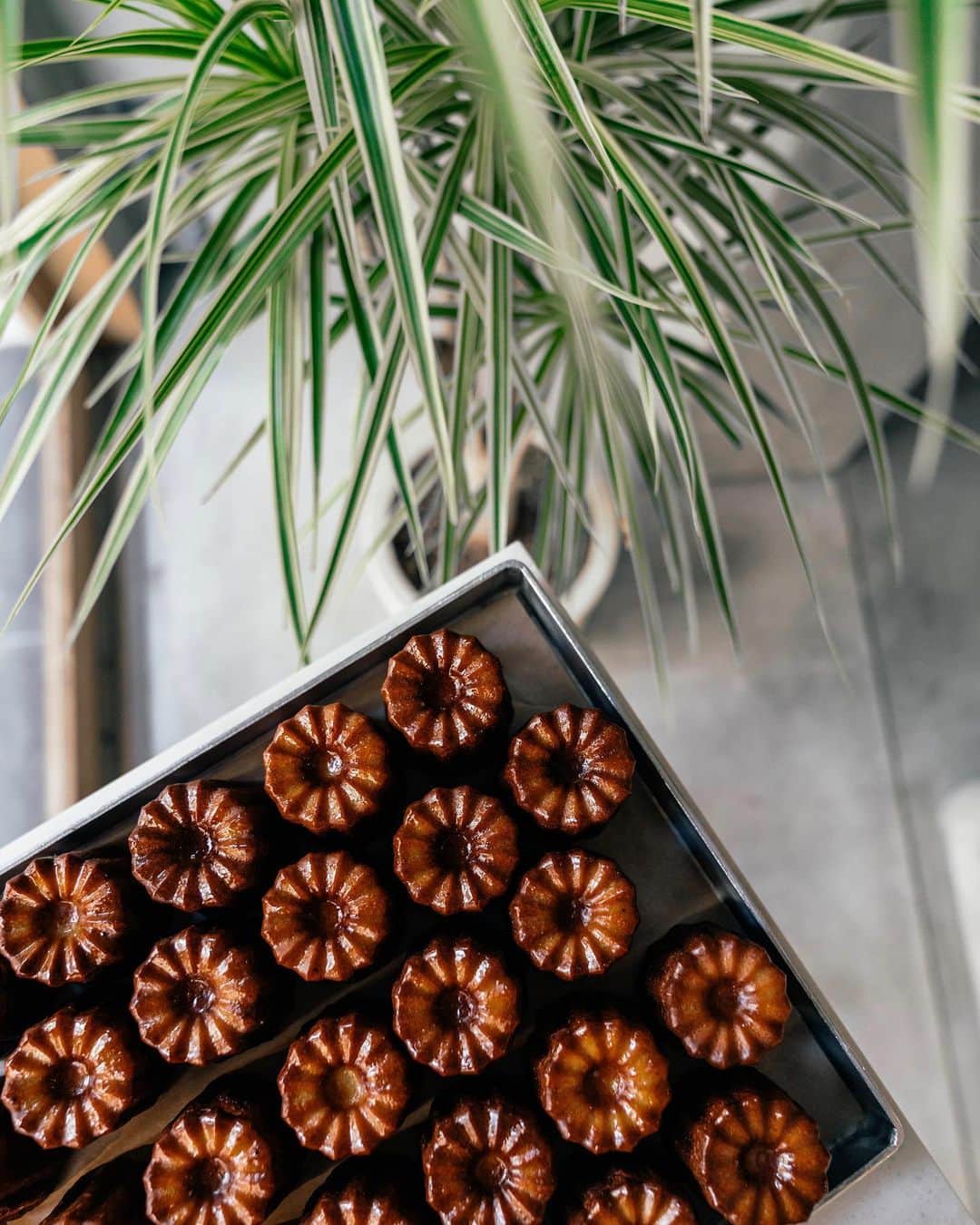 山口淳一のグルメインスタ