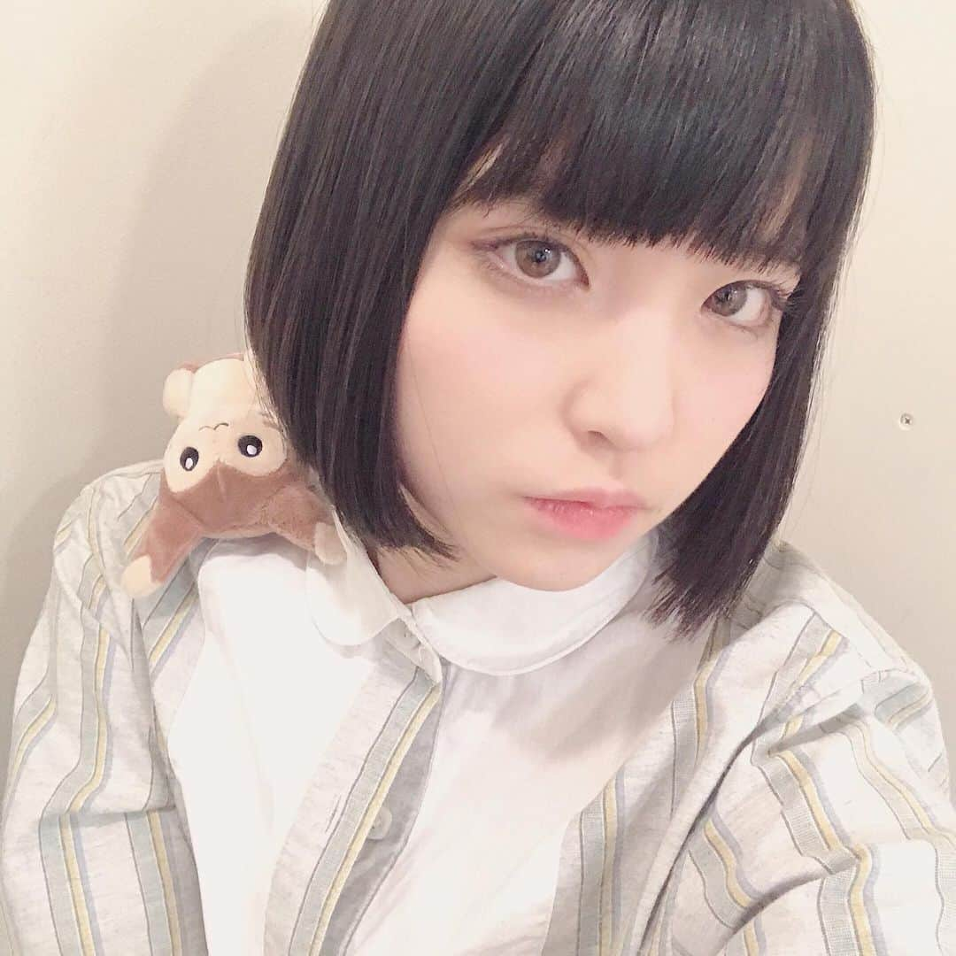 根本凪さんのインスタグラム写真 - (根本凪Instagram)「おるやんけ！  #ポケモン #オオタチ #ボタンあいてますね」2月1日 8時28分 - nemonagi