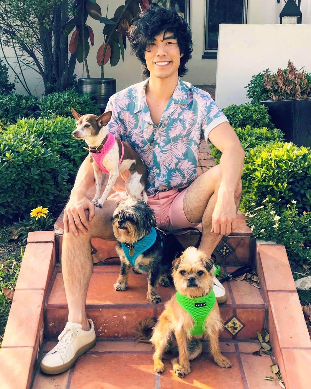 ユージン・リー・ヤンのインスタグラム：「🍙 MEET KIMBOP! 🍙 Just adopted this 4-year-old cuddle monster from the shelter and am thrilled to have the little scamp join our furry mutt family. 🐶🐶🐶」