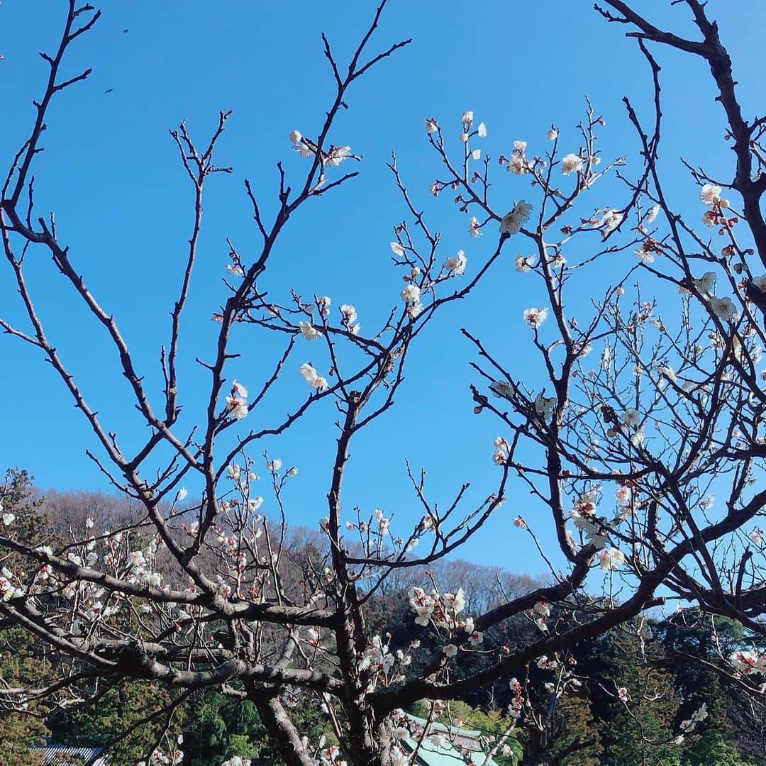 のインスタグラム：「先日の出来事。  円覚寺での書道。  暖かくて書道日和  梅が咲いていました。  #北鎌倉 #円覚寺 #書道 #梅 #ポカポカ日和 #御住職の #お話が楽しい」