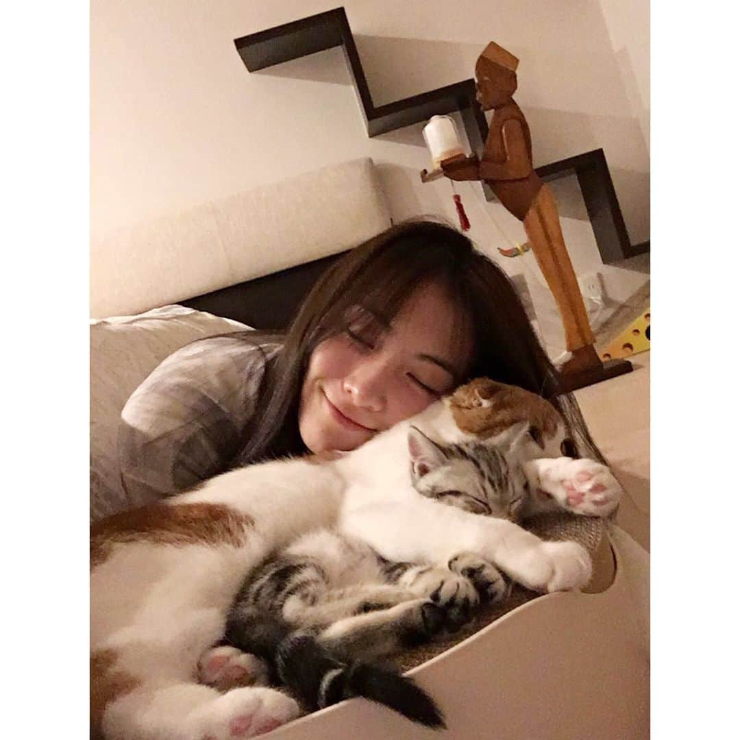 知英さんのインスタグラム写真 - (知英Instagram)「보고싶어 레옹아🤍」2月1日 16時10分 - kkangjji_