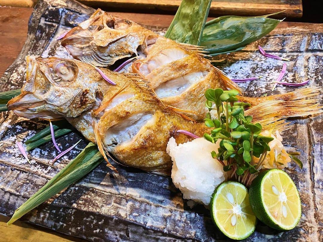 おっきゃがりのグルメインスタ