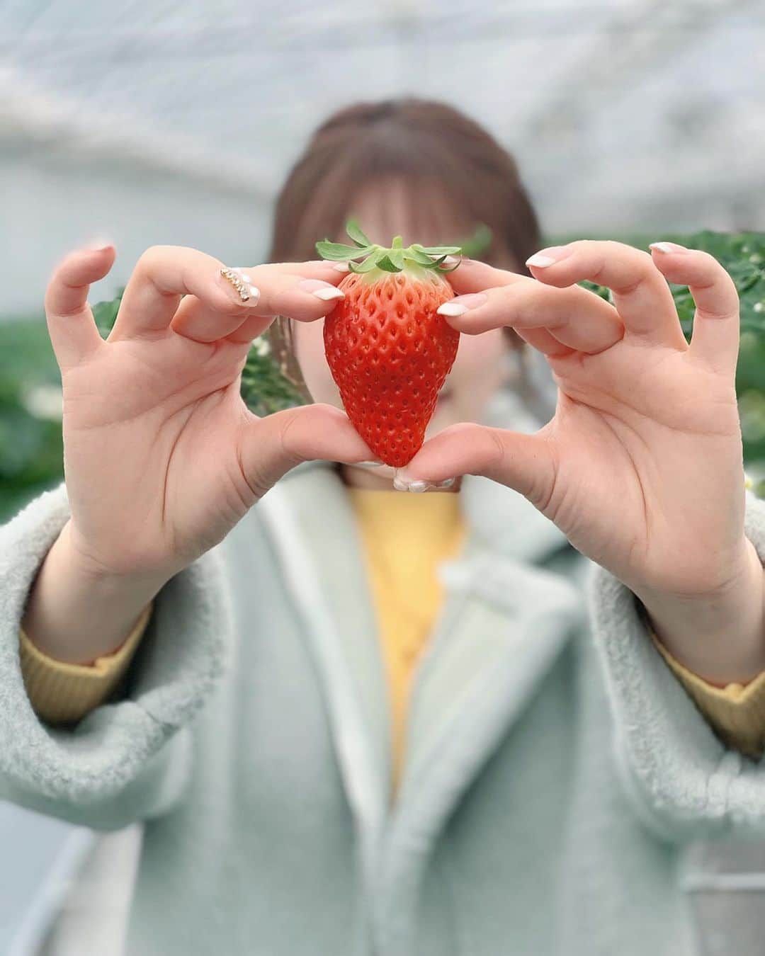 藤川沙弥のインスタグラム：「🍓❤️﻿ ﻿ 何年ぶり？！なイチゴ狩り🍓🌱﻿ 赤ければ赤いほど甘味があって﻿ 美味しいので何周も物色しました😂﻿ ﻿ 本当に美味しくて止まらず﻿ 何個も食べちゃった🤤﻿ ﻿ お婆さんたちが私達は﻿ この為に朝ご飯食べてきてないわよ！💪🏻﻿ って話しかけてくれて、﻿ かわいかった⸝⸝⸝⸝⸝⸝﻿ ﻿ ﻿ ﻿」