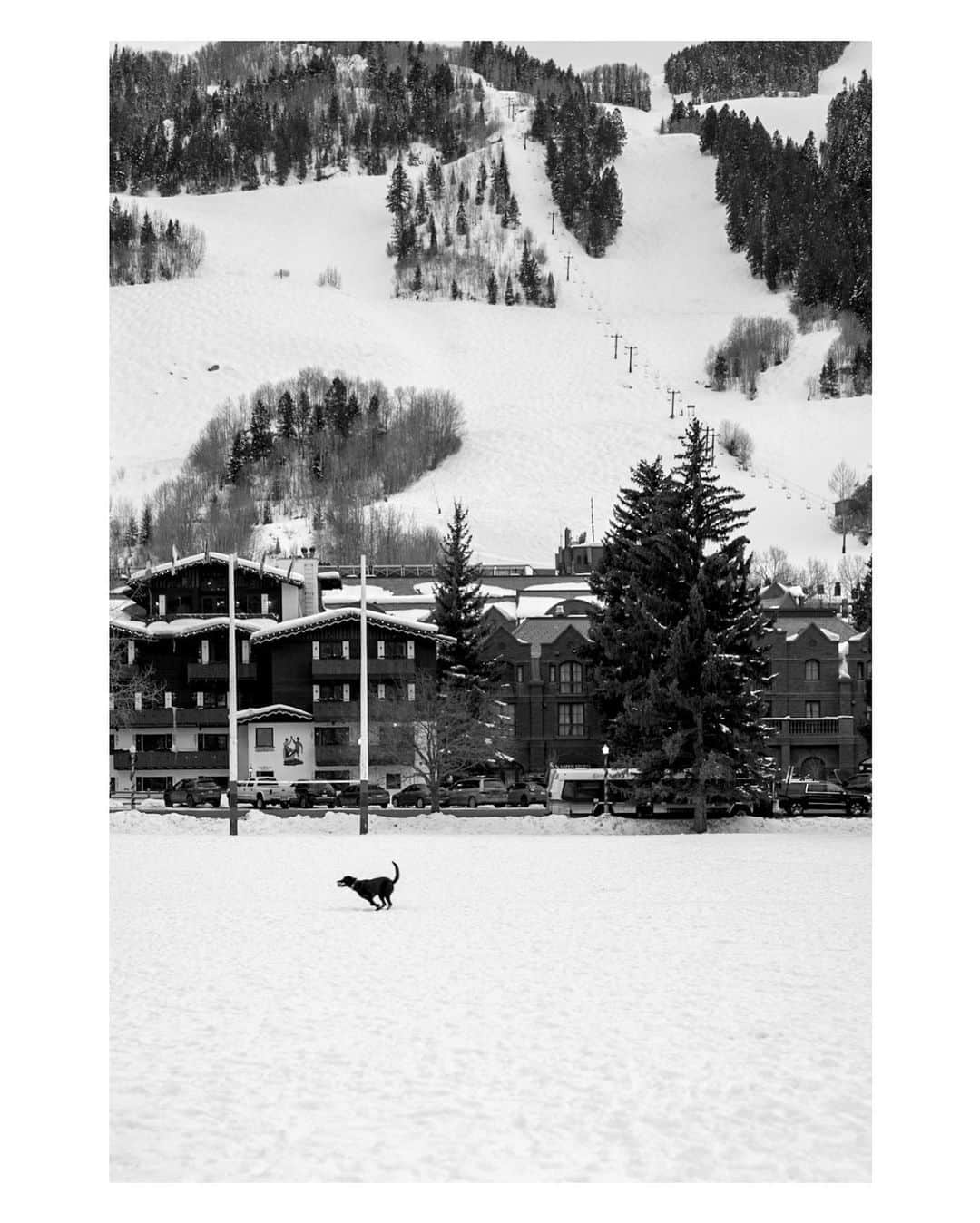 Pete Halvorsenのインスタグラム：「A little place called Aspen. . #leicam10monochrom #LeicaXAether」