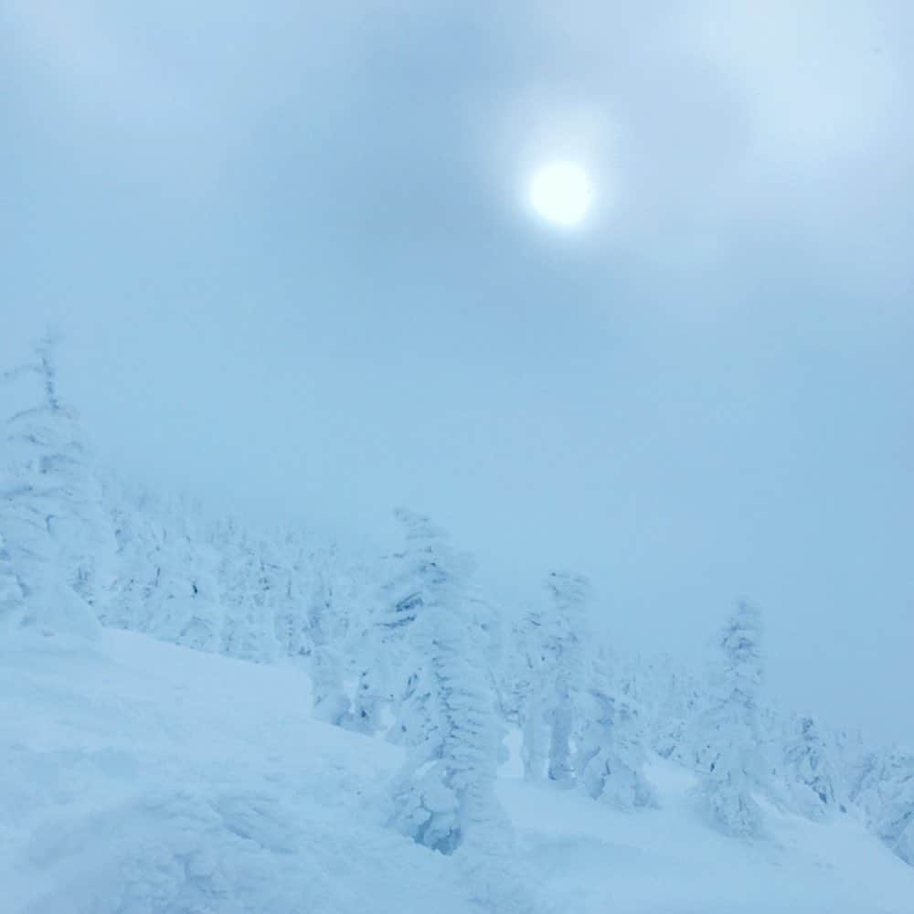 相内優香さんのインスタグラム写真 - (相内優香Instagram)「#樹氷 #白銀の世界へ」2月1日 13時17分 - yuuka_aiuchi