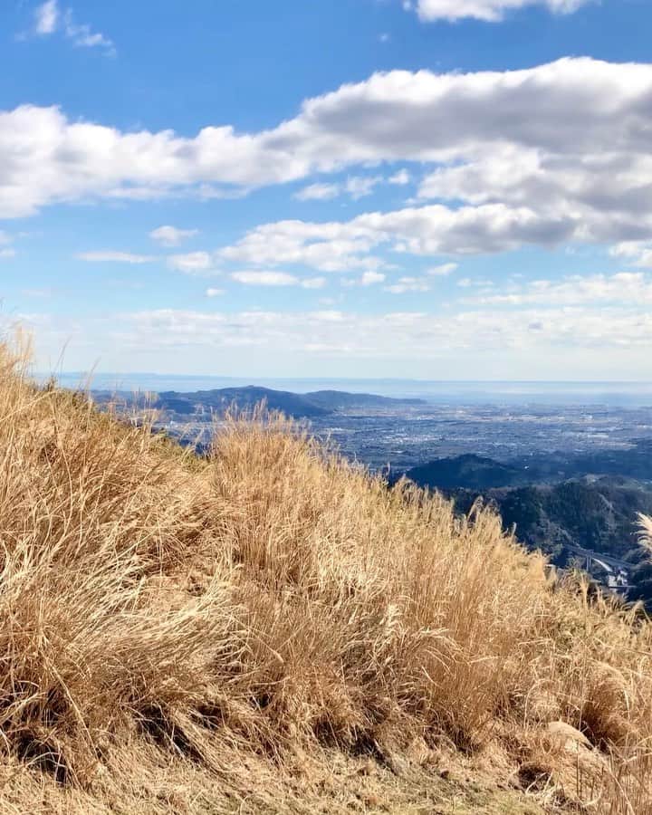 葉山めぐみのインスタグラム：「良すぎた(´･ω･`)💗. . #大野山」