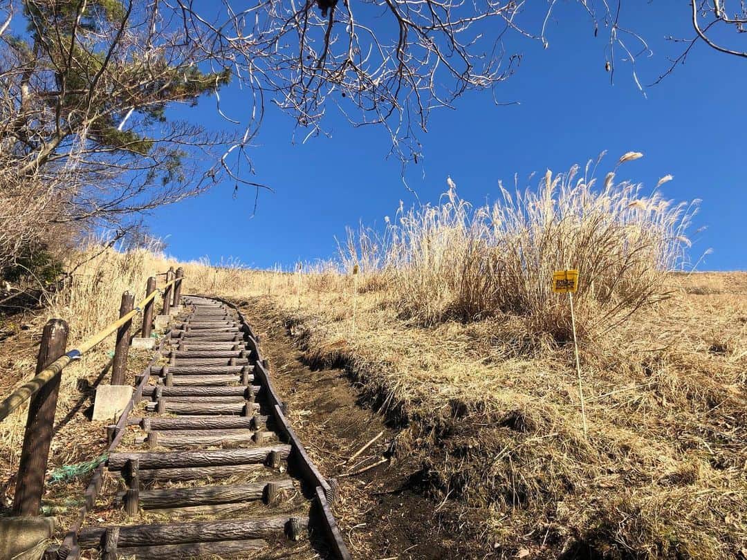 葉山めぐみのインスタグラム：「⛰大野山723.1m. . 気持ち良かったーーー✨. 途中途中に出てくる木彫りの動物たちが可愛くてつい話しかけてしまった💓←ただのひとり言. . とても愛情を感じる山でした🐾. . #大野山」