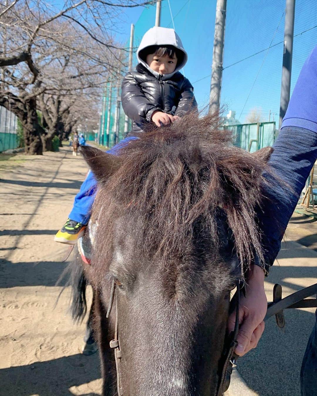 小堀ケネスさんのインスタグラム写真 - (小堀ケネスInstagram)「今日は家族で碑文谷公園に行きました！ディーン君ポニーにも乗れて楽しそうでした！😊 Went to Himonya Park with the family today!  Dean got to ride a pony and was a happy camper!😆 #notdrunk #littledean #mommy #familytime #鬼ママ#ディーン君#家族時間#最高  @mariakamiyama」2月1日 16時45分 - kenkob0903