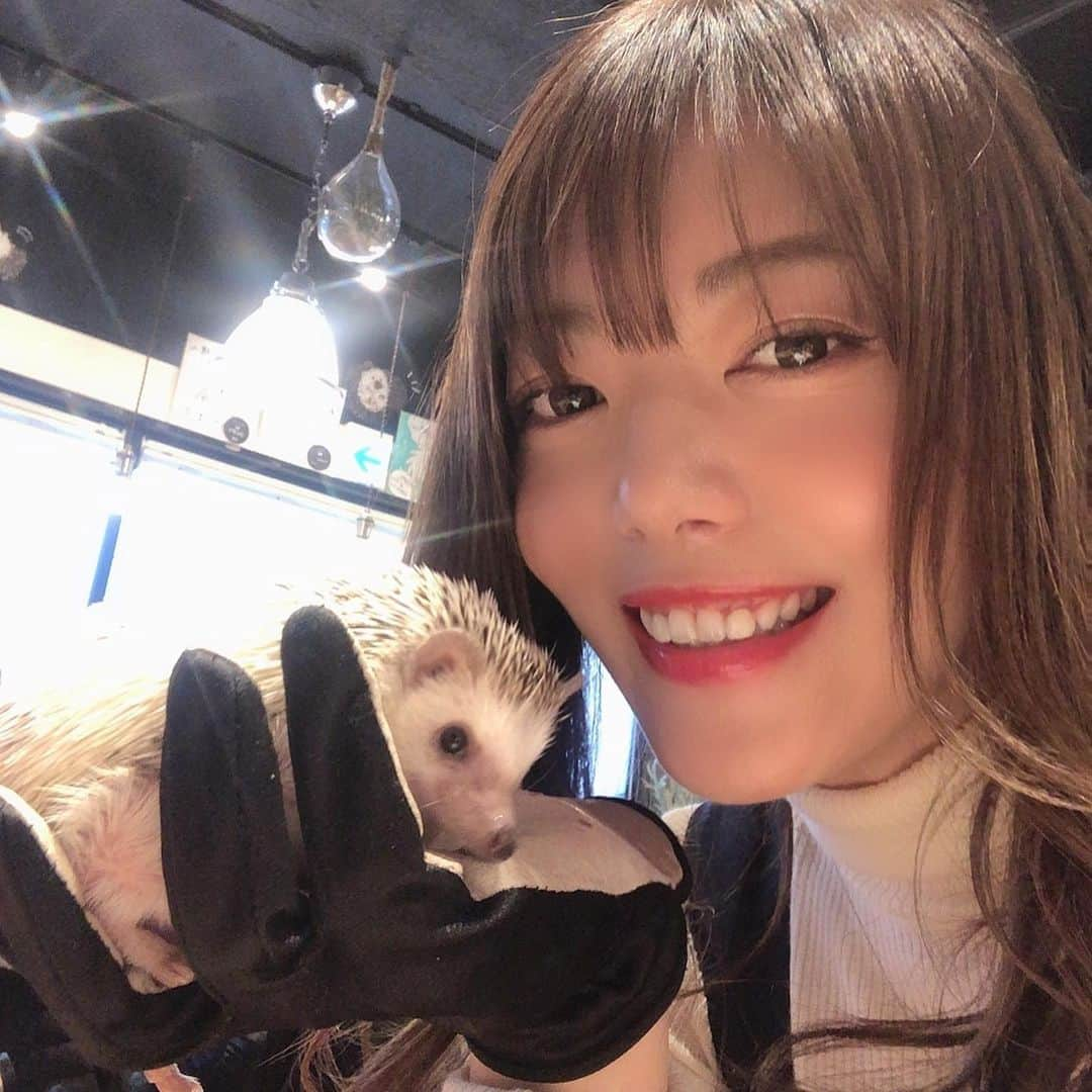 今村仁美さんのインスタグラム写真 - (今村仁美Instagram)「🦔🦔🦔かわいいいぃ❤️🤤 #ハリネズミカフェ #20代最後の思い出」2月1日 17時16分 - imamura_hi