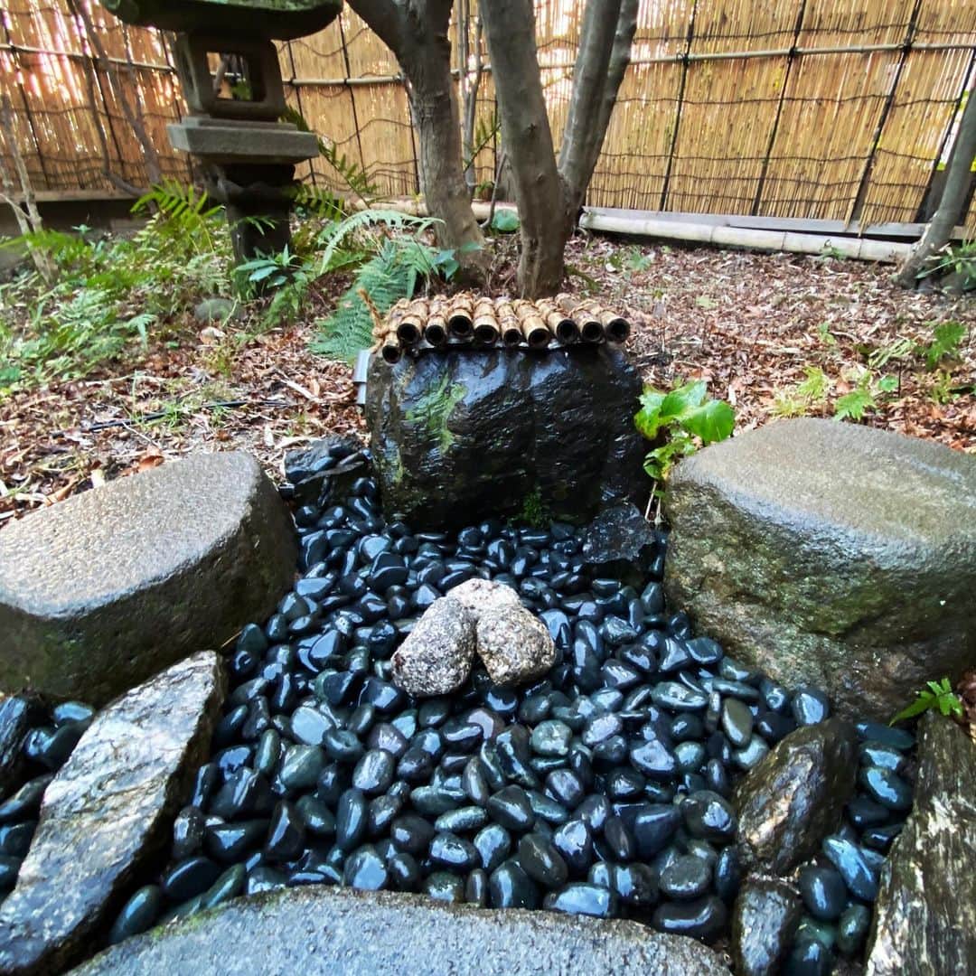 TOGGYさんのインスタグラム写真 - (TOGGYInstagram)「明るいうちに… この玉砂利を全て水洗い。  気が遠くなりそうだったけど 修行修行！デジタルデトックス！ アーシング！  #toggy #fukuoka #japan #teaceremony #maccha #japaneseteagarden #chouzubachi #tamajyari #chashitsu #stone #blackstone #garden #nippon」2月1日 17時45分 - dj_toggy
