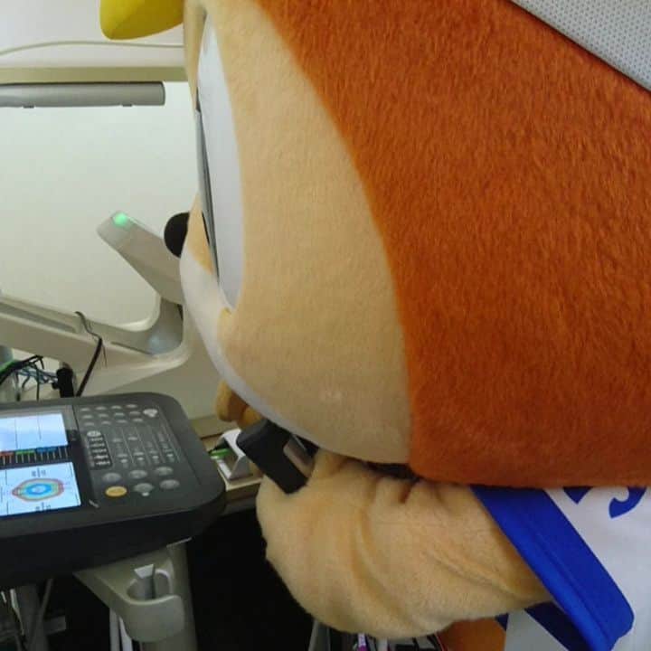 ヴィヴィくんのインスタグラム
