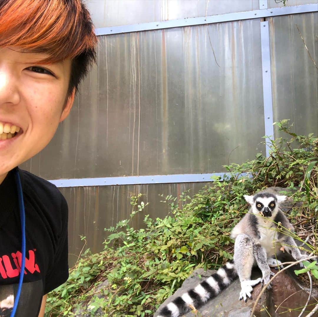 小野崎玲皇のインスタグラム：「なんとかザルとれおた🦁×🐒 手足可愛い。」