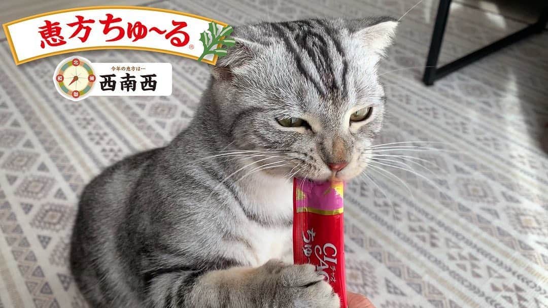 いなば CIAOちゅ～るのインスタグラム