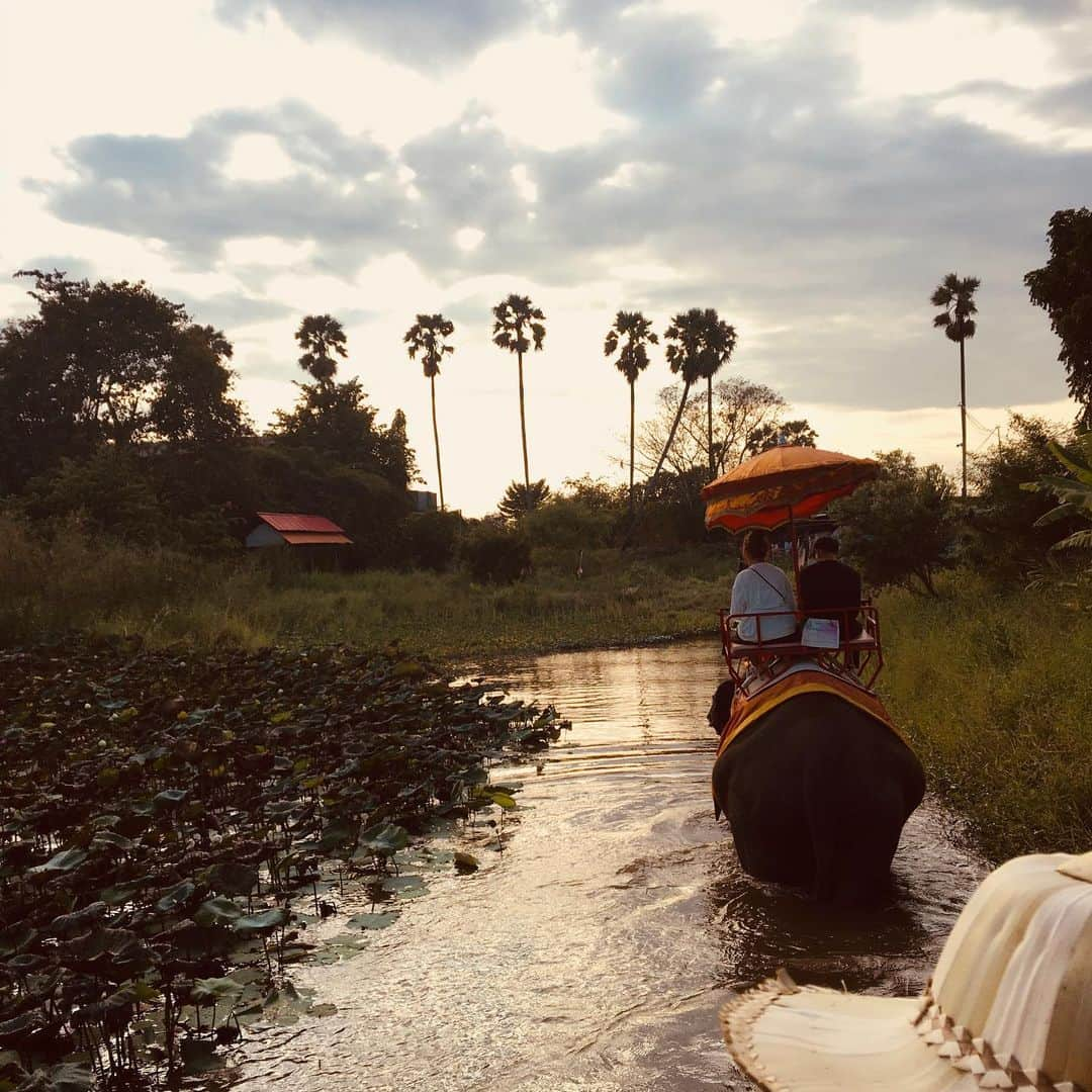 佐藤唯さんのインスタグラム写真 - (佐藤唯Instagram)「Thailand trip with parents 🇹🇭🐘❤️ #タイ旅行 #バンコク #両親 #家族旅行 #ココナッツジュース #🥥 #エビフライんまい #メークロン市場 #thailand #🇹🇭 #familytrip #bangkok」2月1日 18時12分 - y3u2i9