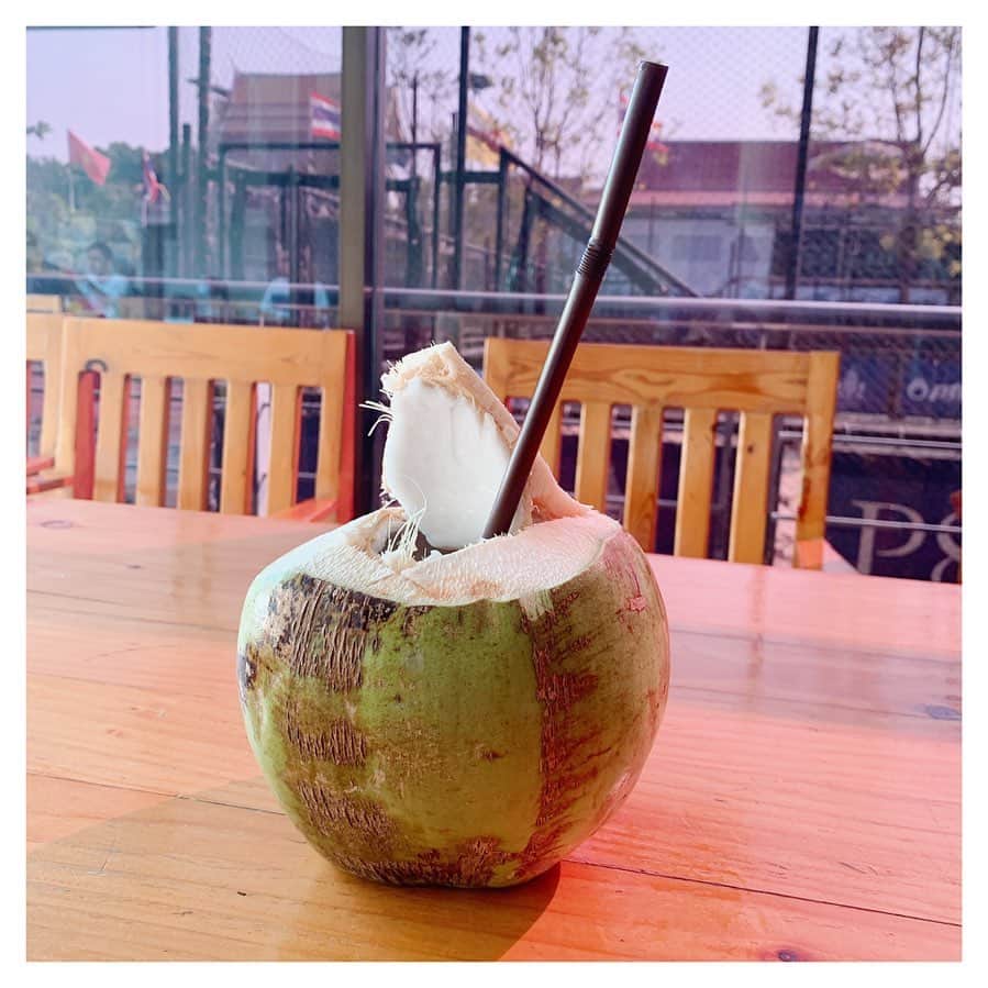 美濃越舞さんのインスタグラム写真 - (美濃越舞Instagram)「. 会場にはココナッツが売っていて、上の部分をくり抜いてくれるのでストローで飲みます🥥 かなり沢山入ってます💦  #ココナッツウォーター #タイ」2月1日 18時25分 - mai_minokoshi