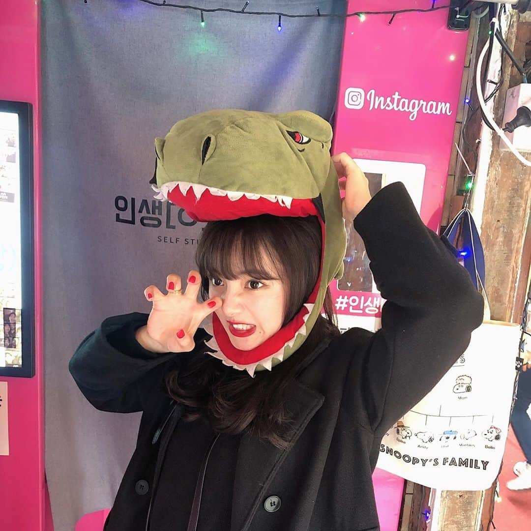 横山紗弓さんのインスタグラム写真 - (横山紗弓Instagram)「ㅤㅤ 韓国のプリ機みたいなの🦖 なんとな〜く撮れたらなあって思ってたら 明洞のあちらこちらに設置されてた！ 被り物もたくさん☺︎ #韓国 #明洞 #選んだのは恐竜でした」2月1日 18時32分 - 1129sym