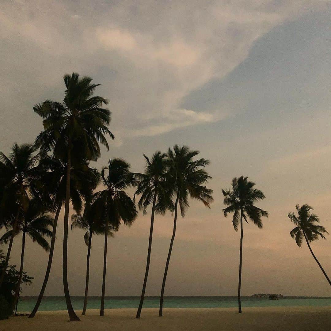 クリスヴァンアッシュさんのインスタグラム写真 - (クリスヴァンアッシュInstagram)「WASN’T PLANNING ON POSTING MORE SUNSETS OR PALM TREES BUT WAKING UP IN RAINY PARIS MADE ME DICIDE OTHERWISE  #maldives #holidaysareover #krisvanassche」2月1日 19時27分 - kris_van_assche
