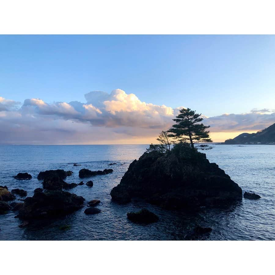 中山美香さんのインスタグラム写真 - (中山美香Instagram)「雨晴曇、盛り沢山な天気の中。 お花見、足湯に露天風呂、河津名物わさび丼。 河津を満喫した1日となりました😊 . . . #河津桜 #桜 #河津 #伊豆 #わさび丼  #海 #温泉 #足湯 #露天風呂 #伊豆急  #伊豆七島 #次は島へ行きたいな と #cherryblossom #flower #kawazu #izu」2月1日 20時08分 - mika5nakayama