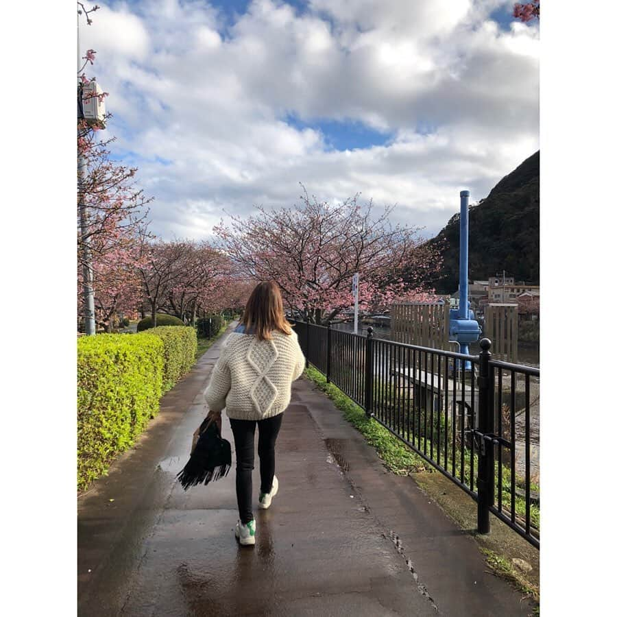 中山美香さんのインスタグラム写真 - (中山美香Instagram)「雨晴曇、盛り沢山な天気の中。 お花見、足湯に露天風呂、河津名物わさび丼。 河津を満喫した1日となりました😊 . . . #河津桜 #桜 #河津 #伊豆 #わさび丼  #海 #温泉 #足湯 #露天風呂 #伊豆急  #伊豆七島 #次は島へ行きたいな と #cherryblossom #flower #kawazu #izu」2月1日 20時08分 - mika5nakayama