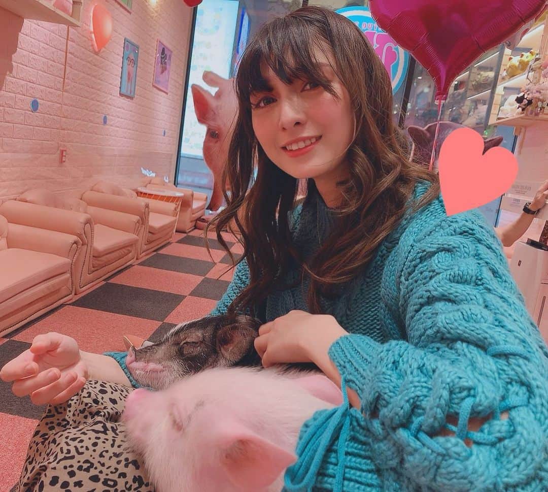 のインスタグラム：「念願のミニブタカフェ！！！可愛すぎた癒された﻿ 甘えてきたと思ったら膝の上で寝てくれたんだよ、、﻿ ﻿ #アンジェラ芽衣 #写真 #photo #ミニブタカフェ」