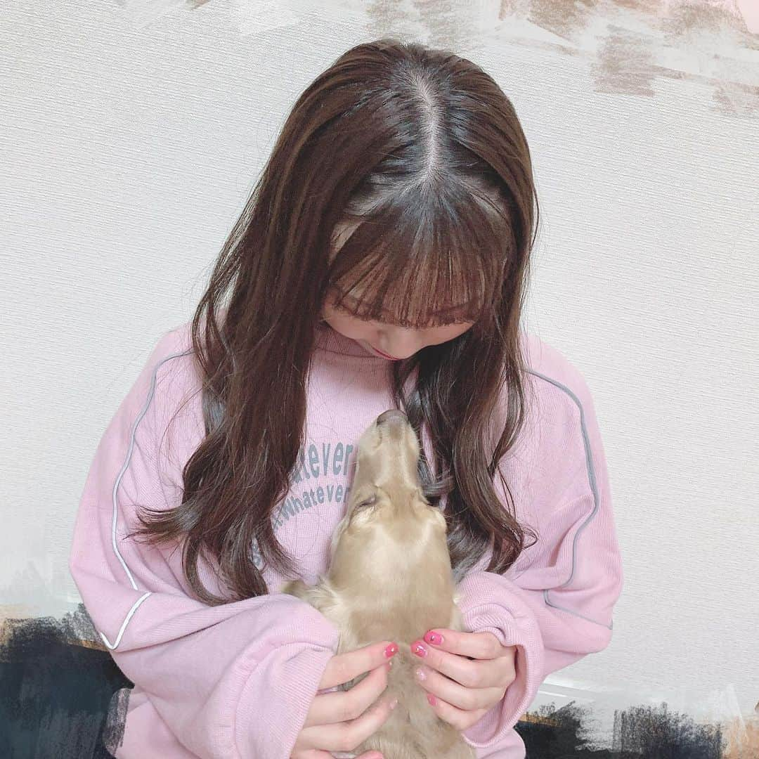 山内祐奈さんのインスタグラム写真 - (山内祐奈Instagram)「💗🐶💗🐶💗 お仕事とかから帰ってくるといつもこれ🐶 見つめ合っとる🥺♡ . ピンクのセットアップ💞 @7things.street」2月1日 20時35分 - yuna_hkt48