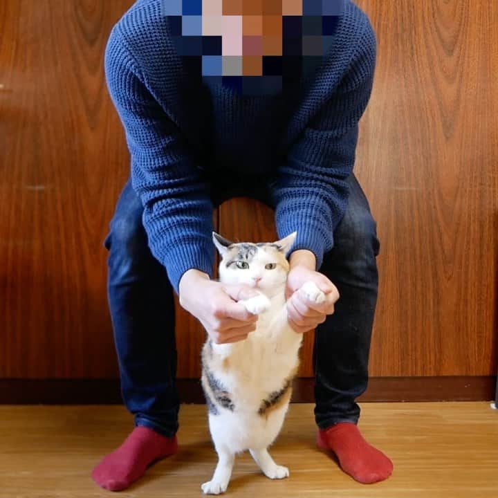 かりんちゃん&ちゃいちゃんのインスタグラム