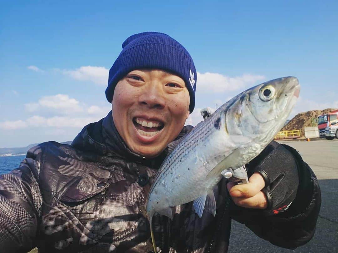 松本康太さんのインスタグラム写真 - (松本康太Instagram)「明日は佐賀県伊万里市でお仕事があるので、今日は前乗りして、まるきんと言う釣具屋さんオススメの久原埠頭で釣りをしました(^○^) アジ(小)がたくさん釣れました♪  #佐賀県 #伊万里 #伊万里市 #久原埠頭 #釣り #前乗り #レギュラー松本 #あるある探検隊 #キャッチアンドイート」2月1日 21時17分 - aruarutankentai.matsumoto