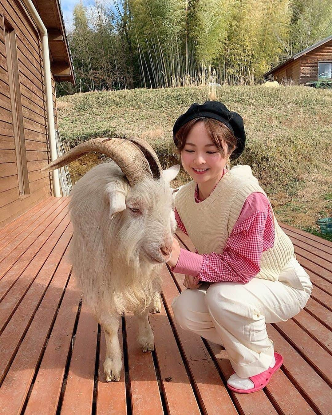 加藤るみさんのインスタグラム写真 - (加藤るみInstagram)「人懐っこくて賢い💛 ヤギのペーターくん🐐🌱 癒されました🖼 #清澄の里粟  #奈良」2月1日 22時34分 - rumicinema