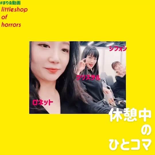 塚本直のインスタグラム：「#littleshopofhorrors 絶賛お稽古中！ 歌入り本読みを終えて、なるほどーとなった本日。  楽しい！難しい！でも楽しい！ そして、コメディーのコメディーだからこその社会風刺とメッセージ。ここからロウズィーズは進化しまくります！！ お楽しみに🌺🥀☘️🌹🌵🌼 . .  #リトショ #ロウズィーズ  #ロネット#まりゑ #シフォン#清水あやか #クリスタル #塚本直 #まりゑ動画 にのれた喜び」