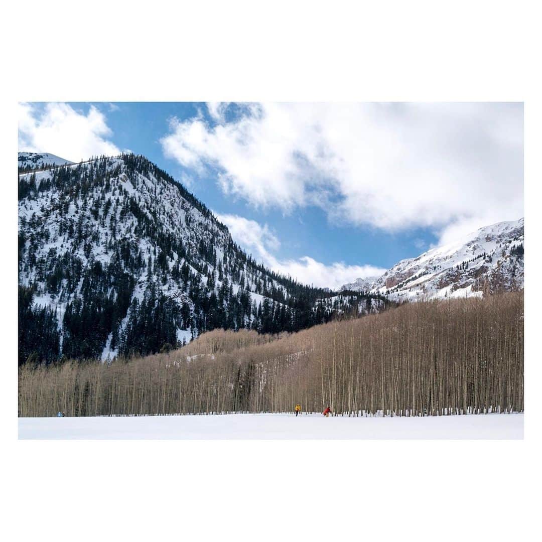 Pete Halvorsenさんのインスタグラム写真 - (Pete HalvorsenInstagram)「Layers of Aspen. . #LeicaQ2 #LeicaXAether @leicacamerausa @aetherapparel」2月2日 9時15分 - petehalvorsen