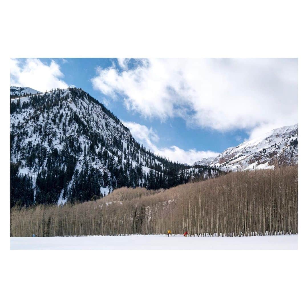 Pete Halvorsenのインスタグラム：「Layers of Aspen. . #LeicaQ2 #LeicaXAether @leicacamerausa @aetherapparel」