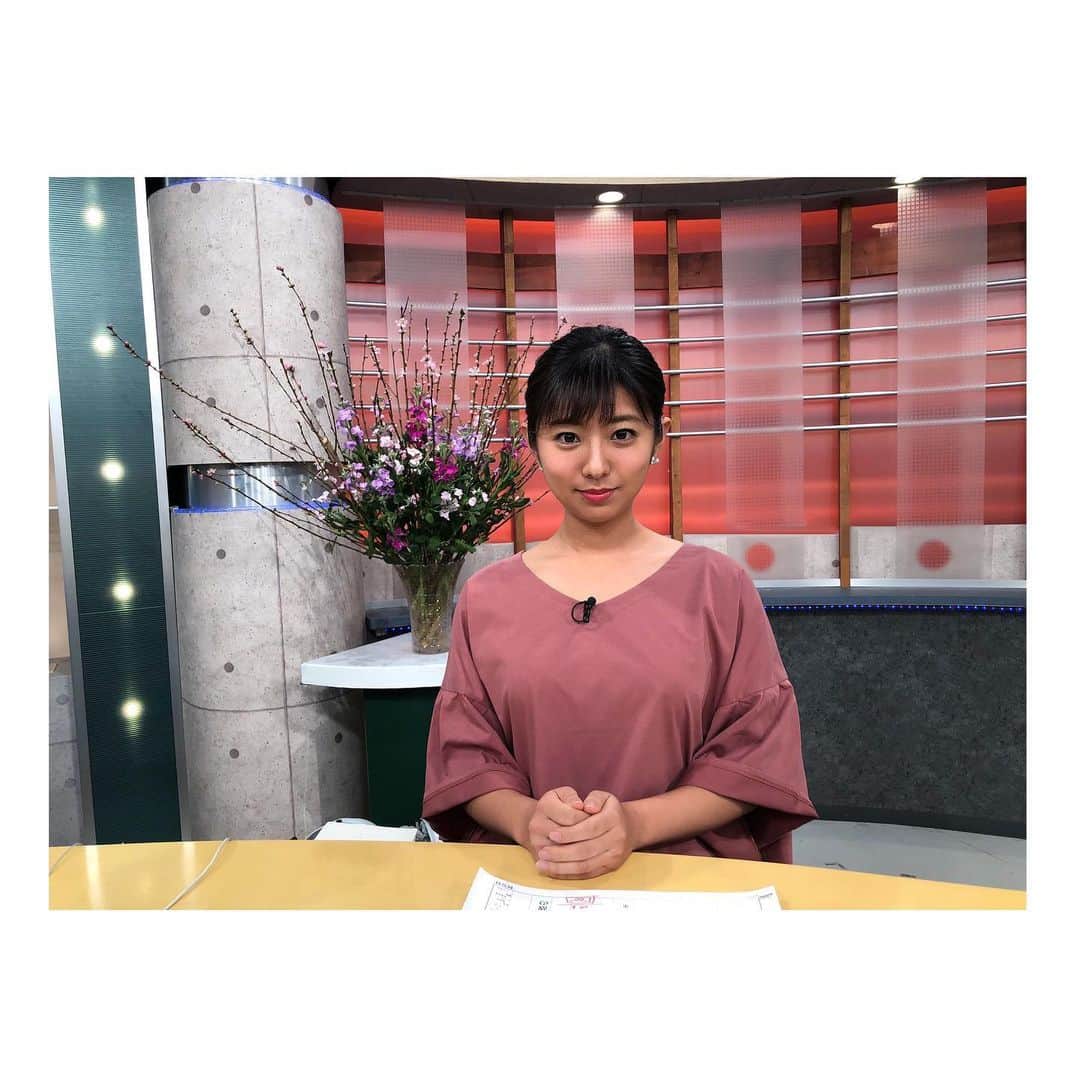 のインスタグラム：「👩‍💻 . さあ、きょうから仕事です！ 小豆島開催のアローズ #🏹💛 の試合 応援にも取材にも行けないのは残念だけど お休みでリフレッシュさせてもらった分 エンジン全開で頑張ります🔥 . 皆さま、また明日から宜しくお願いします🥺❣️ . #ちょっと焼けて #わりかしぷよった🤭 #1週間でなんとか休み前くらいにまで調整するので #今週は温かい目で見守ってくださいまし笑」